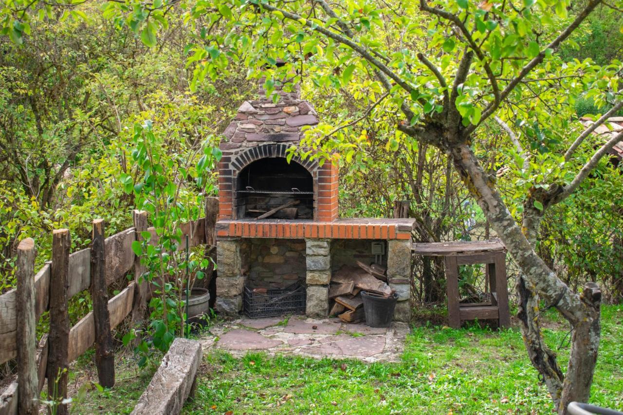 Casa Monaut, Acogedores Apartamentos A Los Pies De La Selva De Irati Saragueta Bagian luar foto